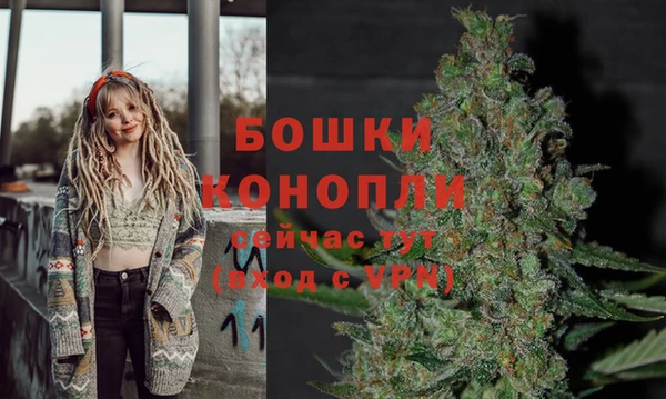 гашик Нягань