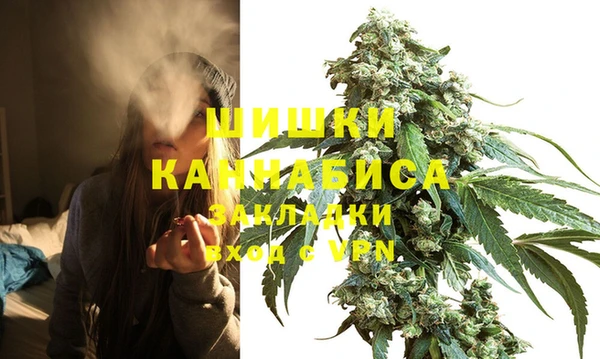 гашик Нягань