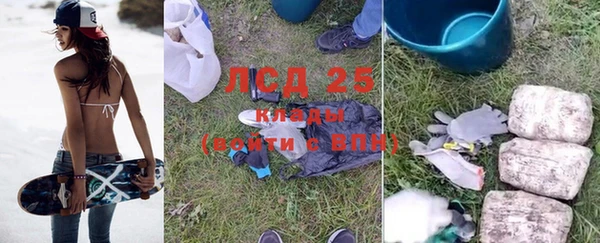 ГАЛЛЮЦИНОГЕННЫЕ ГРИБЫ Няндома