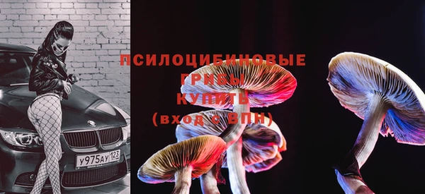 кокс Новозыбков